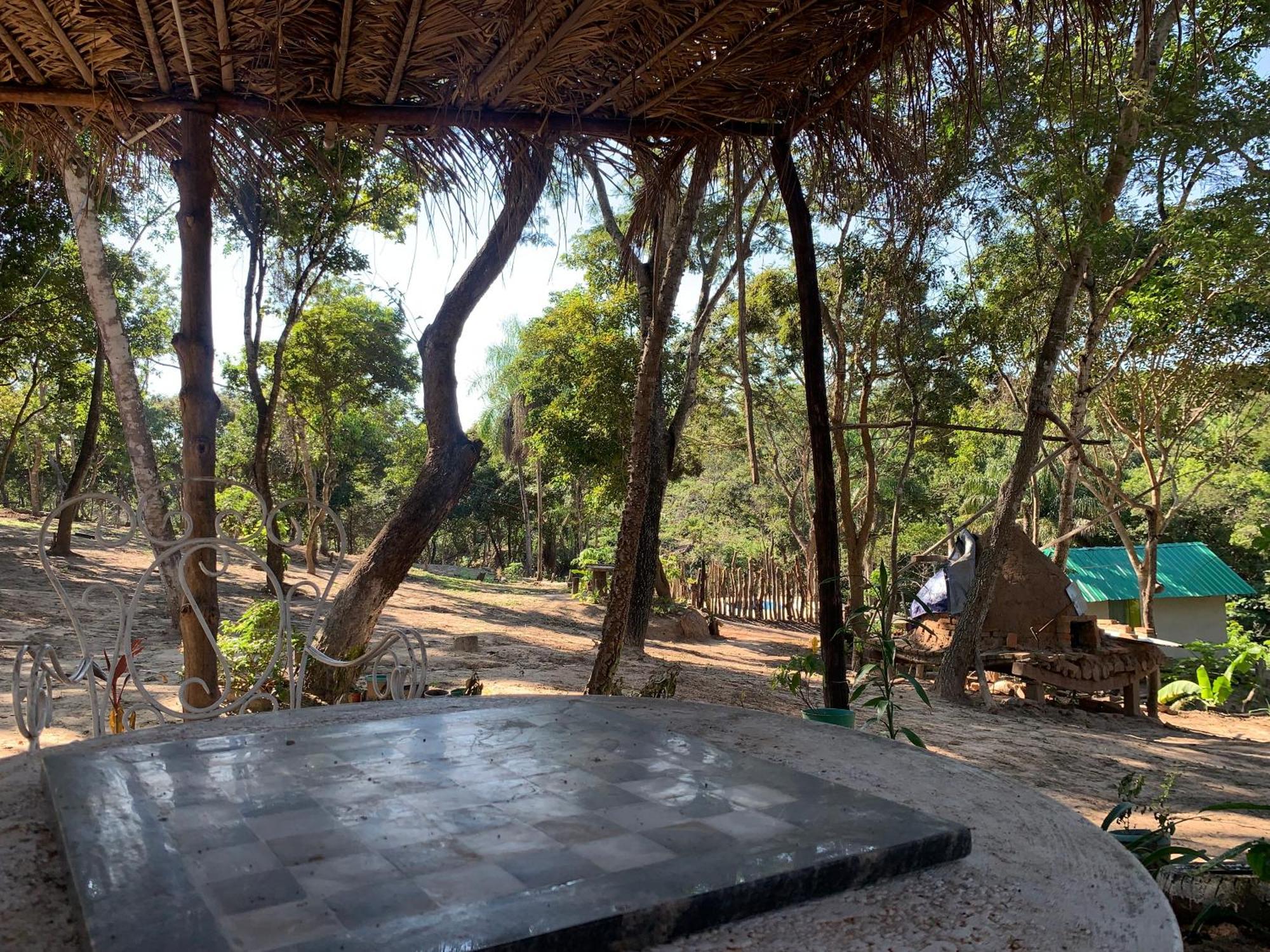 Magic Tree Chalet *